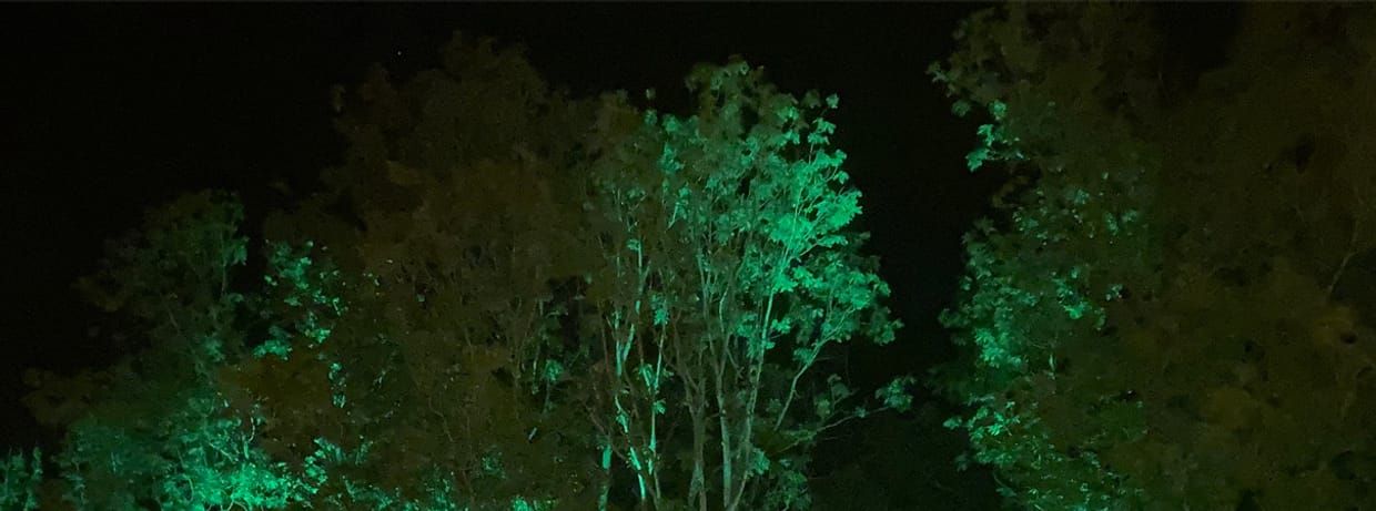 – AUSVERKAUFT – Nacht-Triptychon