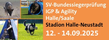 SV-Bundessiegerprüfung IGP & Agility 2025 in Halle (Saale)