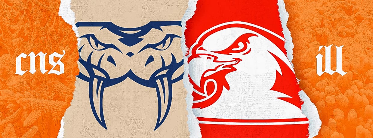 Cairns Taipans v Illawarra Hawks