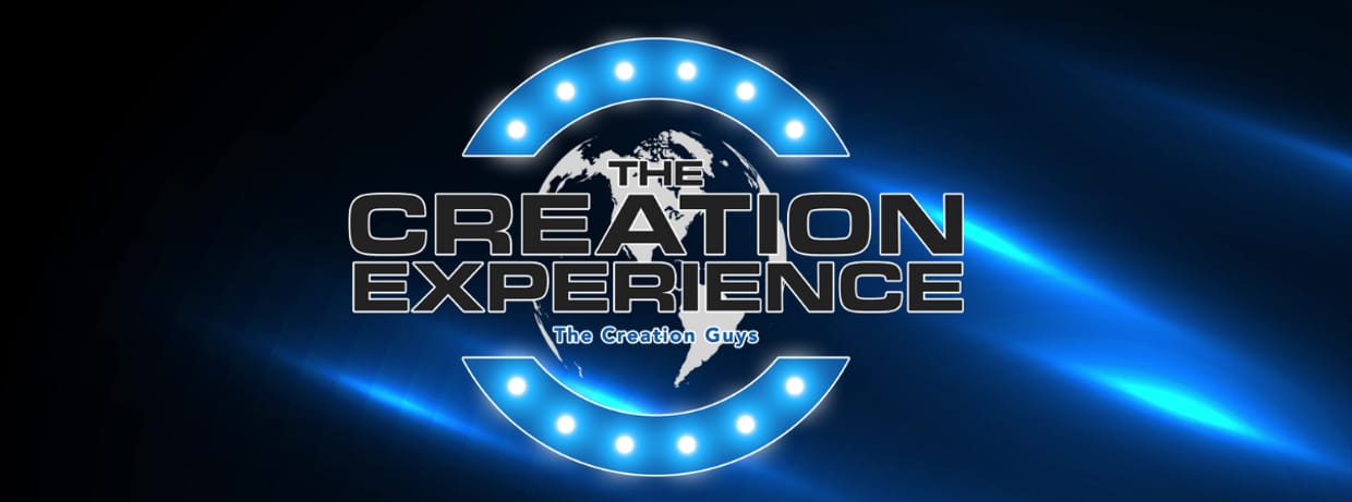 The Creation Experience | Homeschool Day