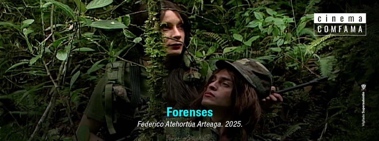 Forenses