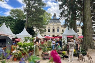 Herbstfestival Schloss Eller