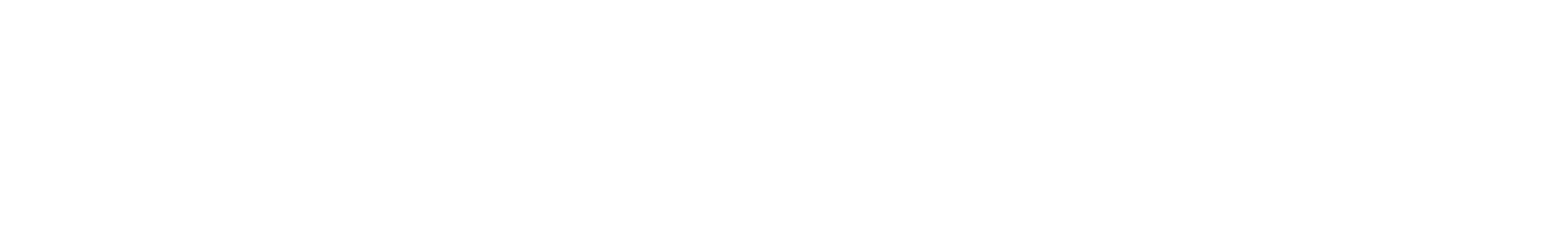 Jubiläums-Auswärtstrikot