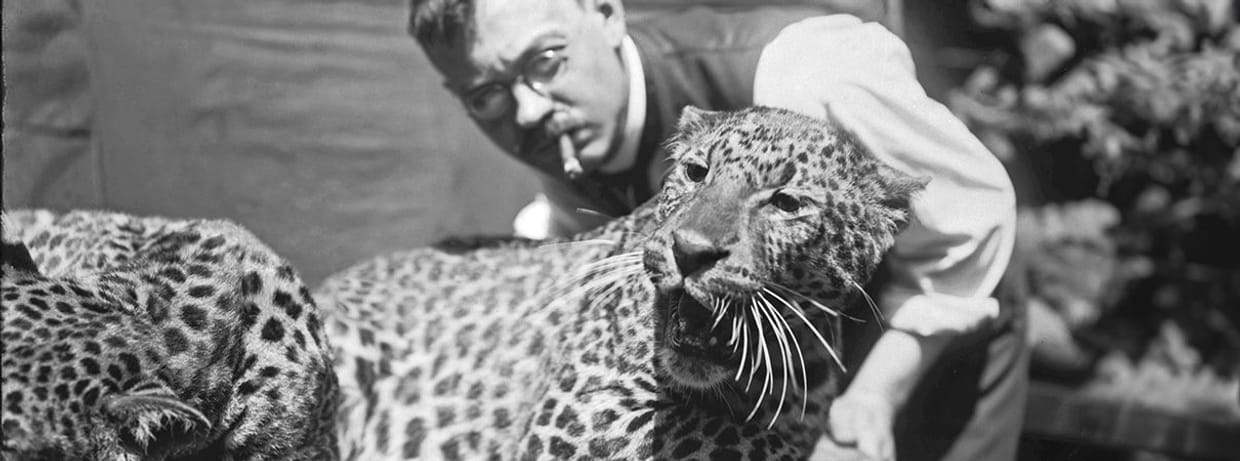 FÜHRUNG | Wie Menschen Tiere sehen