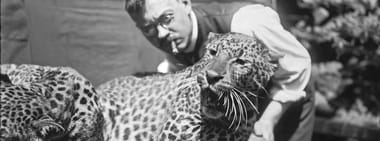 FÜHRUNG | Wie Menschen Tiere sehen