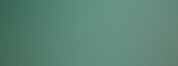 Stetson Basketball Season Ticket