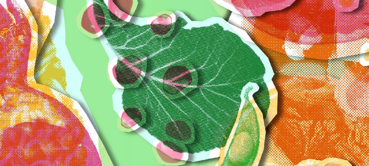 Food, Memory & Print: A Creative Collage with Fae Siddiqui