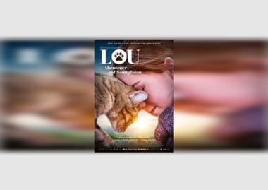 Kino: Lou - Abenteuer auf Samtpfoten