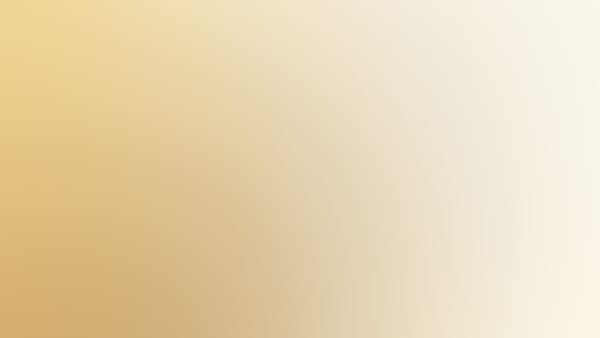 Wiener Johann Strauss Konzert-Gala, Das Original
