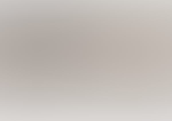 Kino: Das Zen-Tagebuch