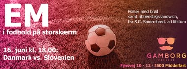 Mad billet til 16. juni kl. 18.00: Danmark 🇩🇰 vs. Slovenien 🇸🇮