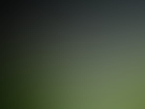 Sonderstadionführung Spiel und Spaß mit Jünter