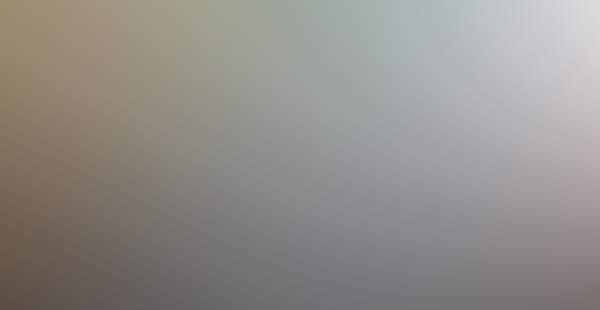 TEST 1