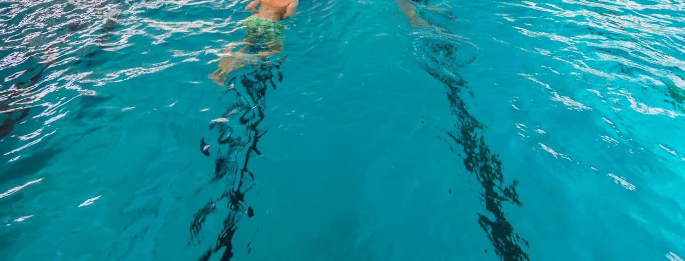 Schwimmer und Aquajogger