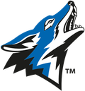 California State San Bernardino Athletics
