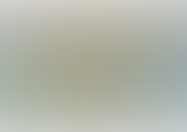 Kino: Die Dschungelhelden auf Weltreise