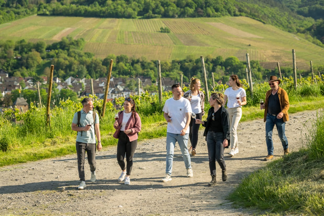 Wein-Entdecker-Tour
