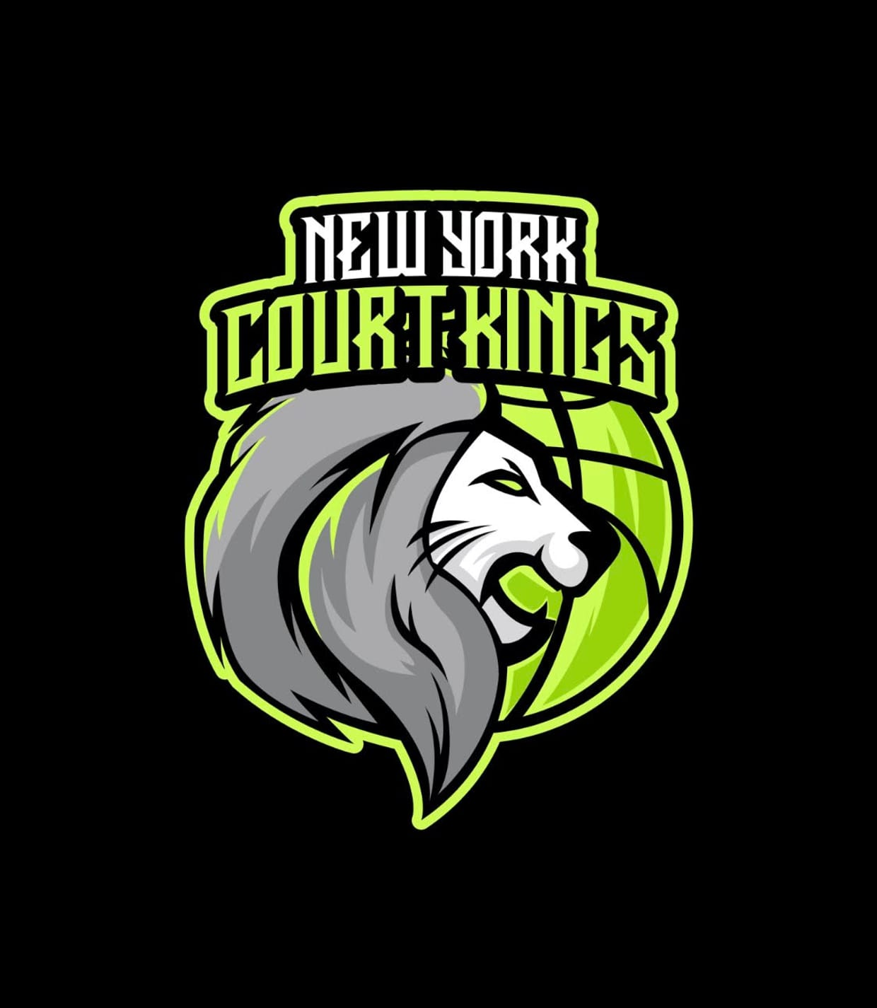 NY Court Kings vs DLS Rockets
