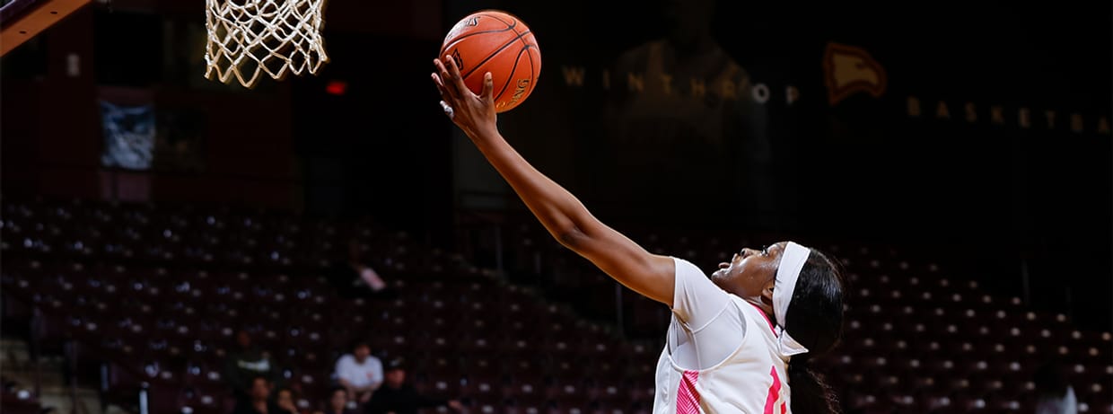 Women's Basketball vs Paine College