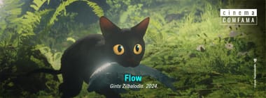 Flow