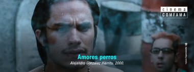 Amores perros