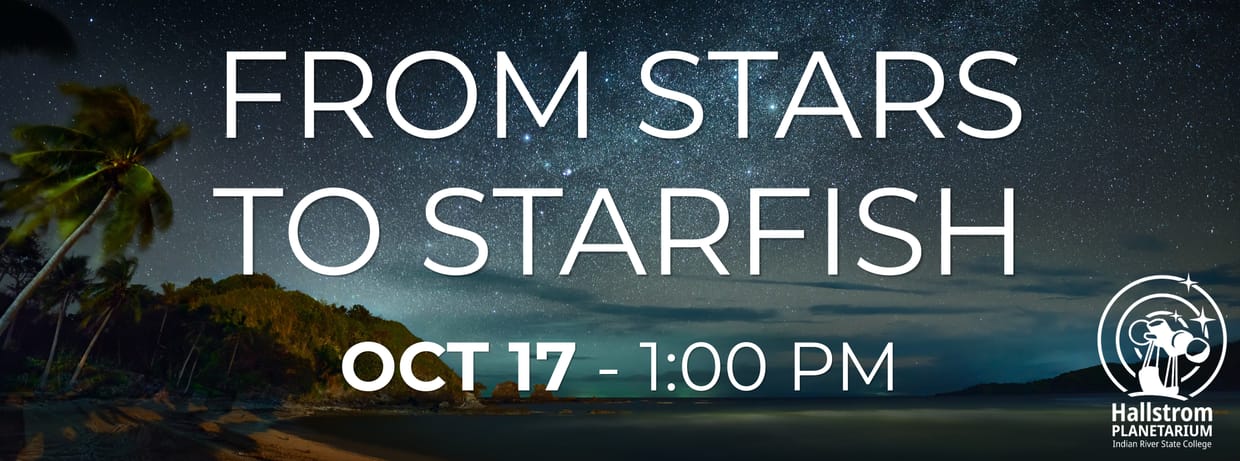 From Stars to Starfish