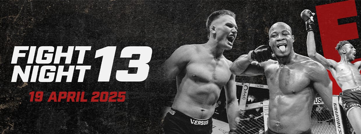 Versus Fight Night 13