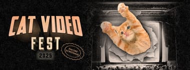 CatVideoFest 2025