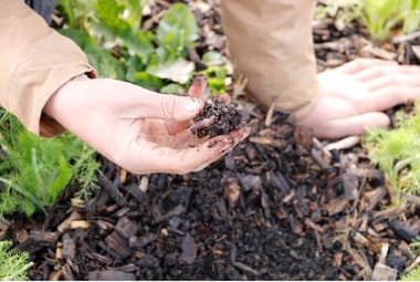 Soil Health Conference