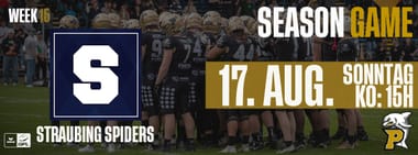 Week 15 vs. Straubing Spiders