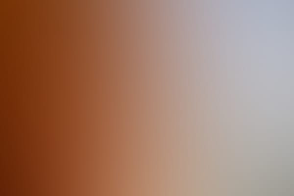 Bison Girls - Off The Court