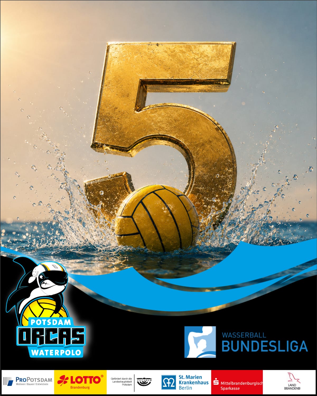 Potsdam Orcas
