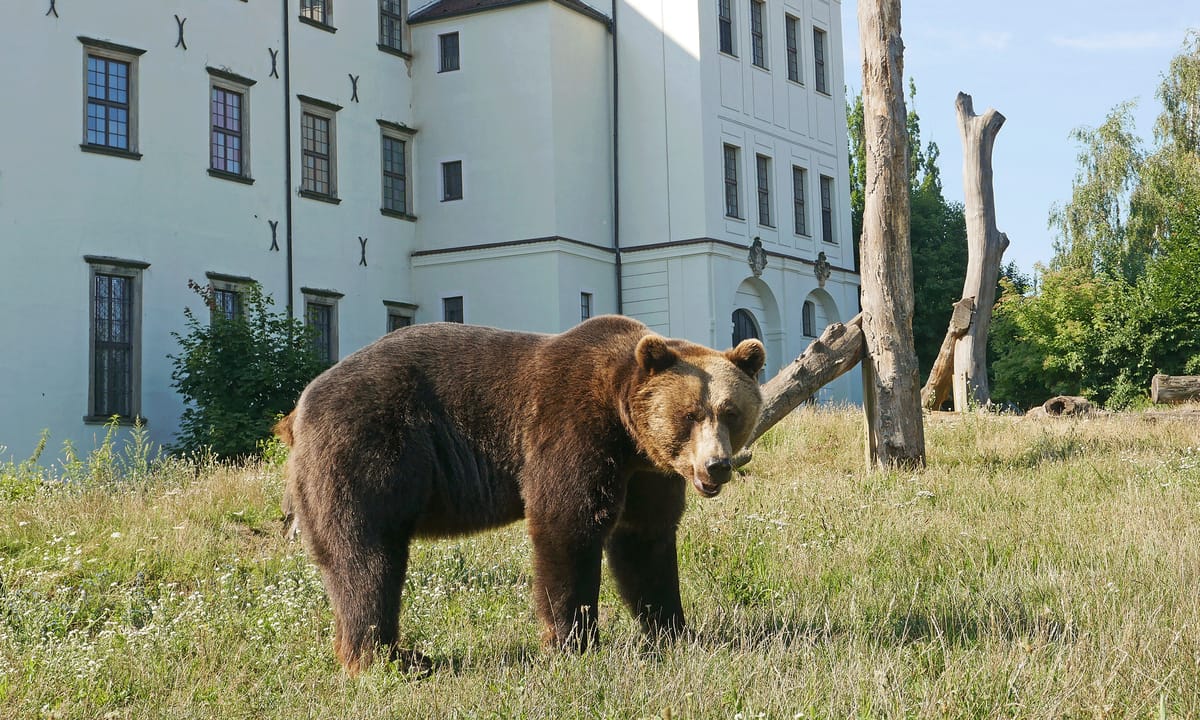 Zoo, Kultur und Bildung Hoyerswerda