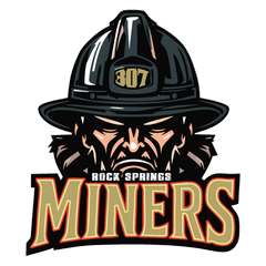 TEAM Hockey LLC