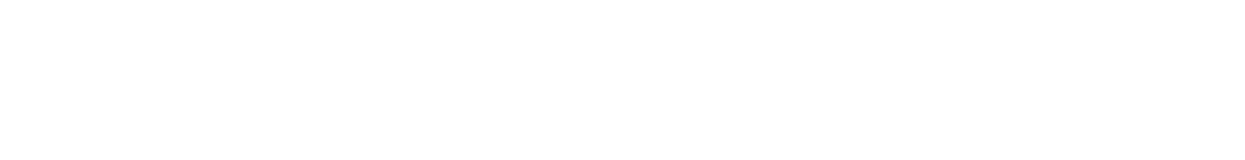 Christmas Lights Tickets