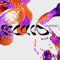 Fluid Festival