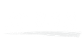 B.A.R GmbH