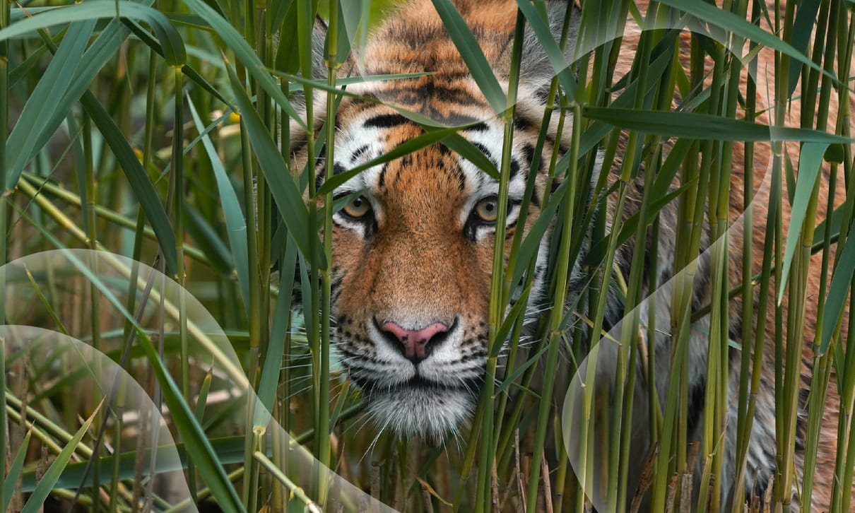 Zoo Zürich AG