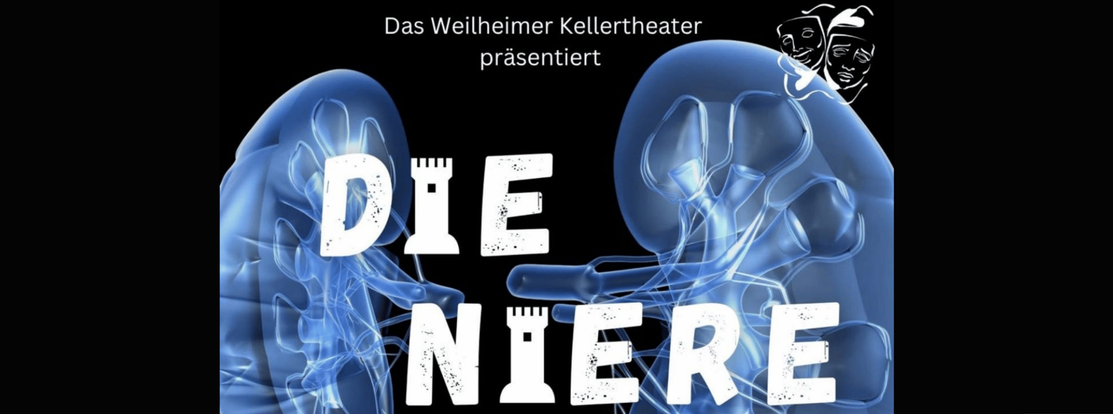 Die Niere