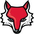 Marist University Athletics