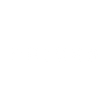 BRICKS