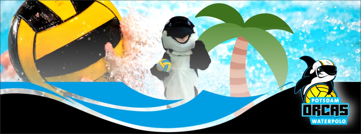 Potsdam Orcas
