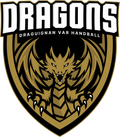 Draguignan Var Handball