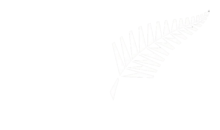 INTERNATIONAL T20 TICKETS