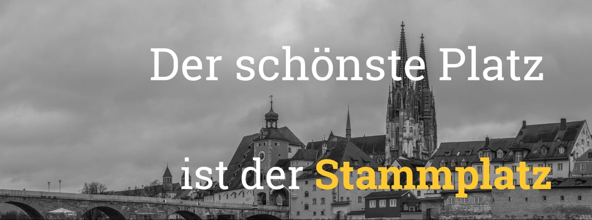 SG Donau Volleys Regensburg e.V.