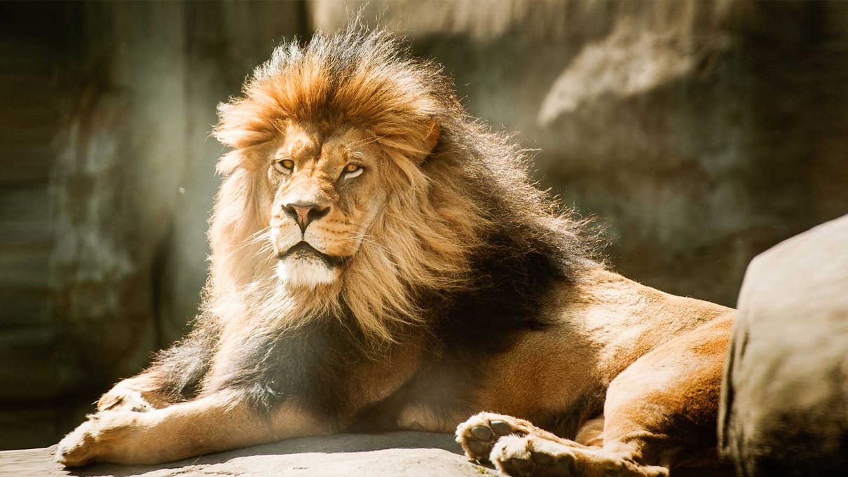 Tierpark Ueckermünde