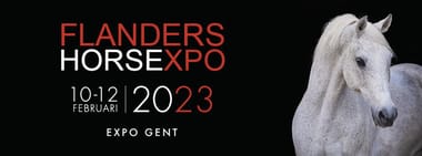 Flanders Horse Expo 2023