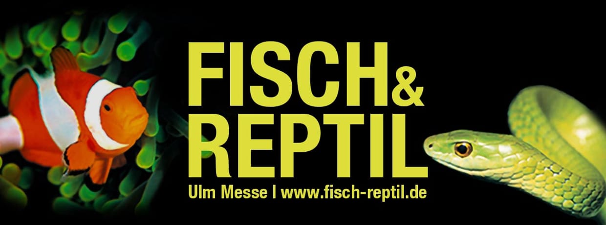 Fisch & Reptil