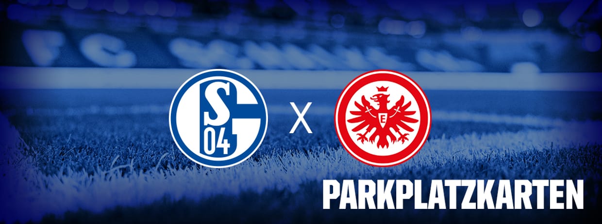 FC Schalke 04 - Eintracht Frankfurt