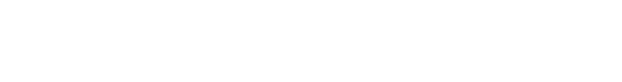 Deutsche Meisterschaft Dortmund 27. - 30.08.2026
